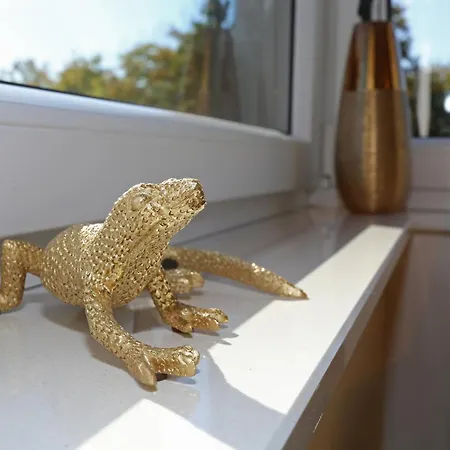 Exklusive Mit Balkon Und Direktem Rheinblick Mit 2 Schlafzimmern Fuer Bis Zu 5 Gaeste