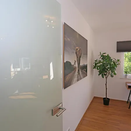 Exklusive Mit Balkon Und Direktem Rheinblick Mit 2 Schlafzimmern Fuer Bis Zu 5 Gaeste Apartment