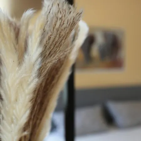 Apartment Exklusive Mit Balkon Und Direktem Rheinblick Mit 2 Schlafzimmern Fuer Bis Zu 5 Gaeste Urmitz