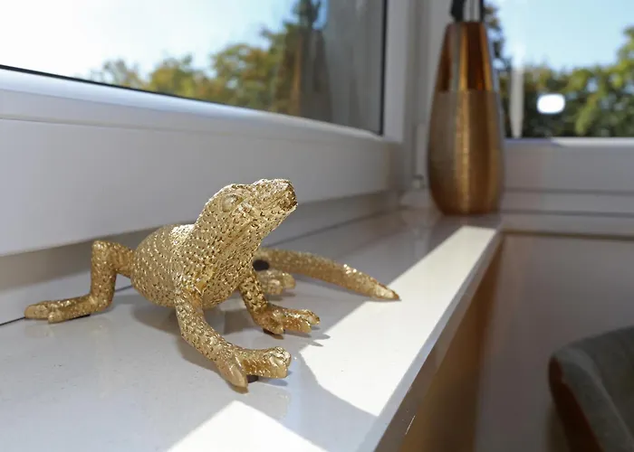 Exklusive Mit Balkon Und Direktem Rheinblick Mit 2 Schlafzimmern Für Bis Zu 5 Gäste