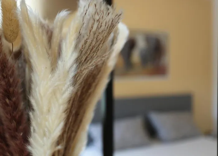 Apartmán Exklusive Mit Balkon Und Direktem Rheinblick Mit 2 Schlafzimmern Fuer Bis Zu 5 Gaeste Urmitz